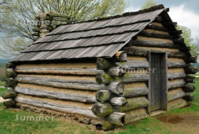 Log Cabin Buyer's Guide